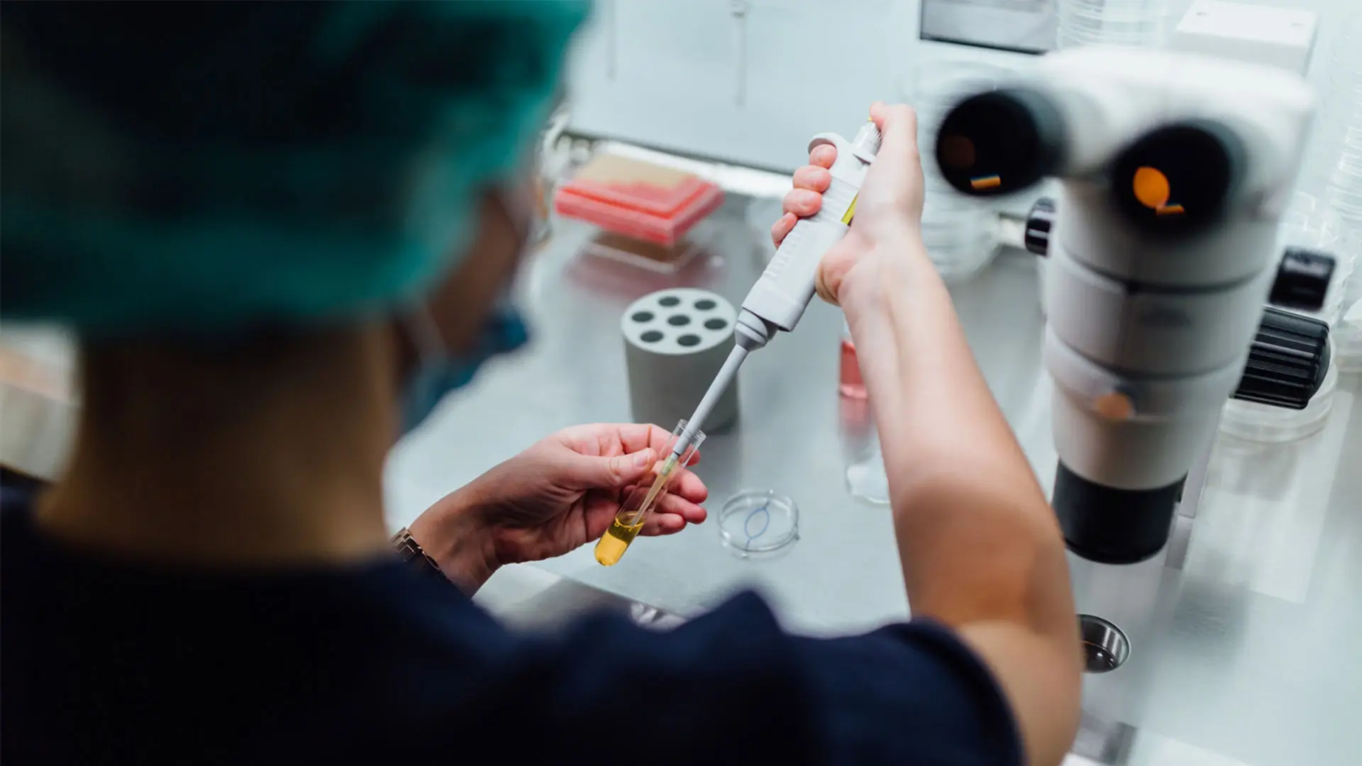 الحقن المجهري عمان